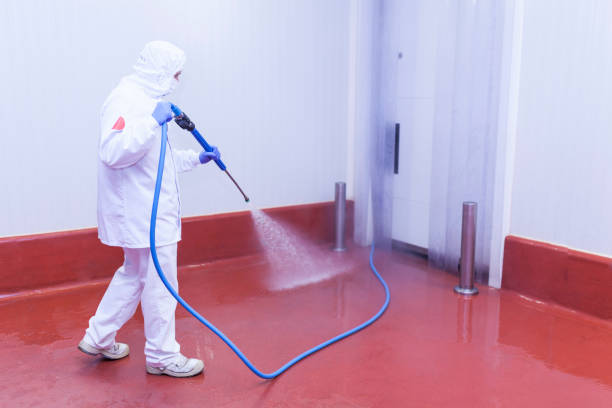Trusted Skokie, IL Pressure Washing Services Experts